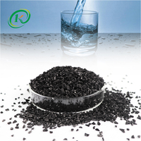 Charbon actif de noix de coco pour le lessivage de l'or 6 * 12mesh 8 * 30mesh Charbon actif de noix de coco Certifié NSF 0.5um Prix de qualité alimentaire