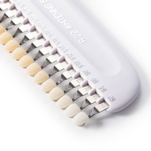 2024 Custom Logo 3D Digital Dental <b>Whitening</b> Chart Mirror R-22 Hot Selling Multi-Purpose <b>Teeth</b> Shade Accessories - Product Image 6