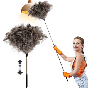 Plumeau en Plumes d'Autruche de Haute Qualité avec Manche Extensible - Plumeau à Long Manche de 170 cm pour le Nettoyage Domestique - Product Image 1