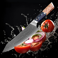 Couteau Kiritsuke 67 couches japon damas VG10 ensemble de cuisine en acier couteau Gyuto maison rasoir couteau de Chef tranchant résine et manche en bois