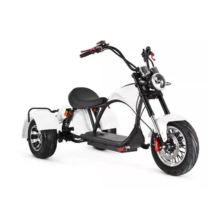 Trike elétrico motocicleta três rodas 2000w 60v 40ah scooter elétrica motocicleta motos elétricos as 5000