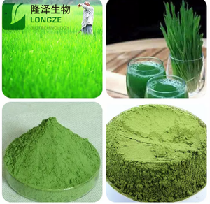 مسحوق عشب القمح الغذائي بالجملة، مستخلص فواكه طبيعي 100٪، تعبئة في براميل 25 كجم وحاويات بلاستيكية - Product Image 3