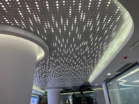 Plafonds suspendus en aluminium perforé ignifuge au design élégant et personnalisé pour hall d'entrée avec éclairage LED