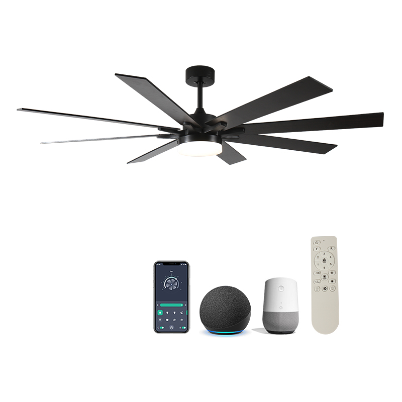 Black+Plywood Blades