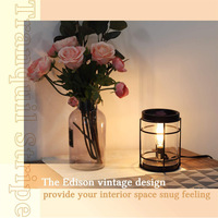 Lampe chauffe-cire électrique sans flamme en verre et métal, style ampoule Edison, diffuseur d'arômes, compatible US