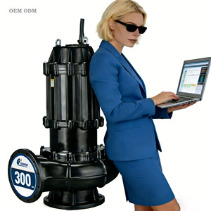 Energy Saving Submersible Sewage <b>Pump</b> for Residential and Civil Sewage System - Product Image 5