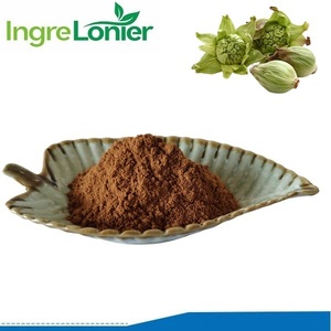 Yüksek kaliteli bitki özü doğal Butterbur tozu 15% Petasins Petasites Wholesales dus Butterbur özü toptan fiyat ile - Product Image 2