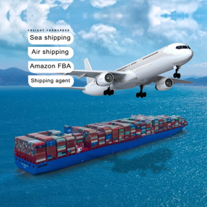 Internationale logistiek, transportdiensten, luchtvracht + express, 24/7 ondersteuning, expediteur Canada, VS, Australië, FBA verzendagent. - Product Image 2