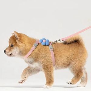 Set tali kerah hewan peliharaan mewah tali traksi nilon dengan pita elegan pribadi 1.2m <span class=keywords><strong>Harness</strong></span> kucing berjalan untuk anjing kecil - Product Image 4
