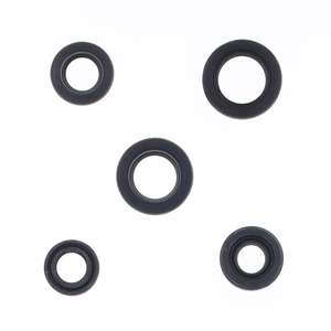 Kit de juntas de aceite - Product Image 2