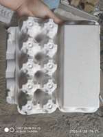 Ligne de production entièrement automatique de barquettes/cartons à œufs en papier de type marocain, moules de formage 4/8/16/32, processus CNC, certifié ISO9001