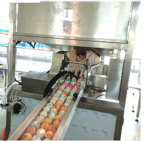 Machine d'emballage horizontale automatique personnalisée haute productivité pour balles <span class=keywords><strong>de</strong></span> <span class=keywords><strong>tennis</strong></span> <span class=keywords><strong>de</strong></span> <span class=keywords><strong>table</strong></span> et <span class=keywords><strong>de</strong></span> golf avec moteur - Product Image 4