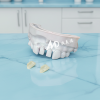 Veneers en porcelaine dentaire pour cliniques et laboratoires dentaires |   Placages en stratifié E.max sur mesure ultra-fins OEM/ODM pour un sourire éclatant