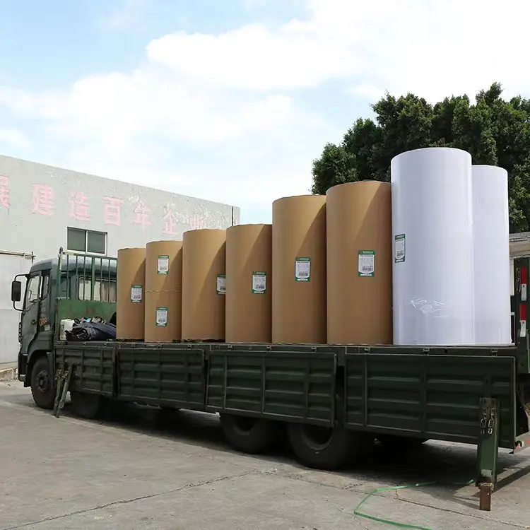 China profissional fabricante 48g grande jumbo rolo de papel térmico jumbo para papel registrador dinheiro papel