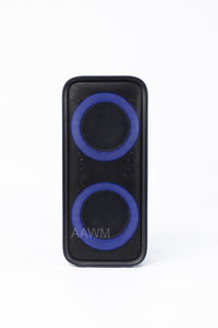 AAWM 派对音箱双6.5 RMS功率带锂电池 PA 低音炮 USB音响系统低音家庭聚会 - Product Image 2