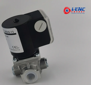Le caldaie del bruciatore parte l'elettrovalvola a solenoide 12V con apertura lenta - Product Image 5