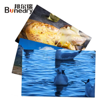 Film PVC de transfert par sublimation mat brillant double face 200g-300g A4 pour imprimante jet d'encre pour affiches et usage professionnel