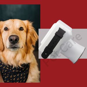 Оптовая продажа, высокочастотный цифровой стоматологический рентгеновский аппарат, индивидуальная портативная система панорамной визуализации, ветеринарное диагностическое оборудование - Product Image 4