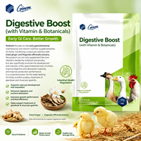 Supplément pour Poulets de Chair Reproducteurs avec Acides Aminés de Qualité Alimentaire, Améliorateur de Métabolisme, Stimulateur de Performance Productive, Protection Hépatique