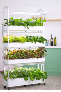 Sistemas de Cultivo Hidropónico para Interiores, Maquinaria Agrícola para Vegetales, Sistema Acuapónico para Plantas de Hoja - Product Image 2