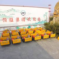 Nouveau camion léger automatique 4x4 chinois CE/EPA, chargeuse compacte, véhicule agricole/à chenilles pour la vente