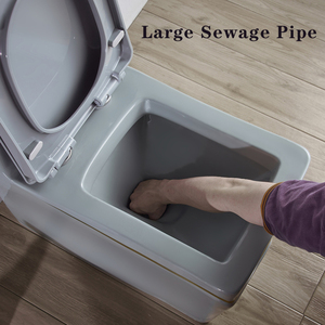 Gray Surround <strong>Black</strong> Line Square Floor Installation <strong>Toilet</strong> Ceramic Integrated <strong>Toilet</strong> - Product Image 5