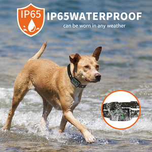<span class=keywords><strong>Collar</strong></span> de ladridos para perros Sin golpes/<span class=keywords><strong>Collar</strong></span> de ladridos de choque seguro con modo de choque ajustable Impermeable Recargable Anti <span class=keywords><strong>Collar</strong></span> - Product Image 5