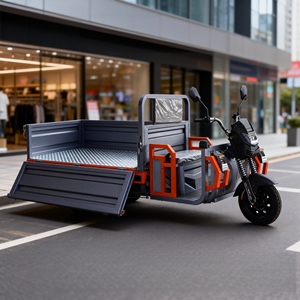 Heavy Duty Trike <b>72V</b> <b>Battery</b> Three Side Open Box for City Delivery - Product Image 1