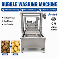 Fruit- en groentewasmachine SUS304 Food Grade, heftransportband, aanpasbare afmetingen, meerdere modellen, CE-gecertificeerd