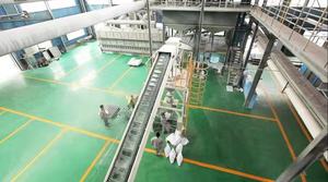 Arena para Gatos Ecológica con Monitorización de Salud, Gel de Sílice con Indicador de pH, Arena de Cristal al por Mayor - Product Image 6