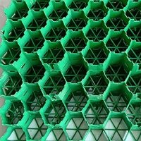 Paveur à gazon en plastique, grille de pavage perméable, paveurs d'allée, treillis d'herbe, matériau recyclé