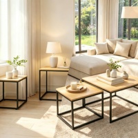 Ensemble de deux tables basses modernes durables avec rangement, multifonctionnelles, empilables, avec structure en métal et plateau en bois, meubles de salon