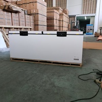 Congelador Horizontal Comercial de Una Sola Temperatura, Eficiente Energéticamente y Compacto, en Oferta a Buen Precio