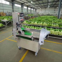 Industriële 2-kops groente-snijmachine voor bladgroenten, wortelgroenten, in plakjes, chips, schijfjes, blokjes, 1000 kg/uur, multifunctioneel, veelzijdig