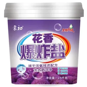 OEM Reactive Oxygen Bleaching Powder Non-Irritating and Hand Injury-Free Laundry Detergent for Apparel Use