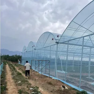 Satılık yüksek mukavemetli ticari tarım poli kemer yeşil ev domates plastik Film sera