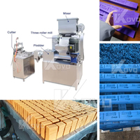 Machine à fabriquer du savon entièrement automatique (Capacité : 100-300 kg/h) |   Ligne de production de savon à petite échelle |   Construction en acier inoxydable