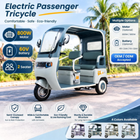 Tricycle électrique en gros 800W, véhicule de mobilité urbaine à trois roues pour 2 passagers