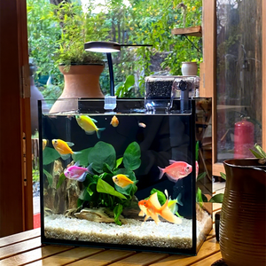 <span class=keywords><strong>Aquarium</strong></span> rectangulaire en verre courbé ultra-blanc Xilong, petit, écologique, pour eau salée, 3L-70L, usage domestique, bureau - Product Image 2