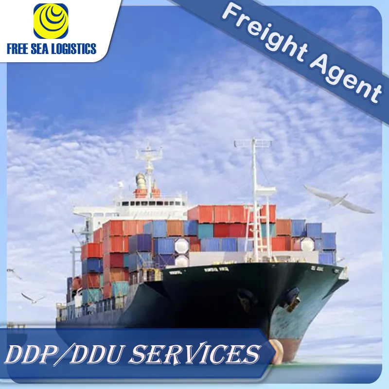 Dropshipping logistico eccellente e più economico da Shenzhen all'arabia saudita/Dubai sea freight