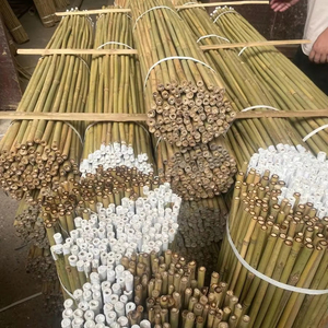 Bâtons de soutien pour plantes en bambou sur mesure, cannes en bambou naturel pour l'agriculture et la décoration de jardin - Product Image 1