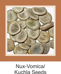 Graines de Kuchla de qualité supérieure, qualité alimentaire, extrait de plante de culture sauvage, en vrac, en stock, à vendre - Product Image 3