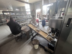 Trung Quốc <span class=keywords><strong>Jelly</strong></span> keo sản xuất động vật keo cho Hộp Quà Tặng cứng nhắc hộp giấy động vật <span class=keywords><strong>Jelly</strong></span> keo cho trường hợp Maker Máy - Product Image 6