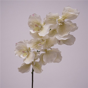 Fleurs d'orchidée <span class=keywords><strong>Vanda</strong></span> papillon haut de gamme, hydratantes, effet toucher réel, pour décoration de salon, mariage et extérieur - Meilleures ventes - Product Image 3