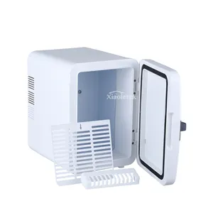 Petit réfrigérateur à porte en plastique 4L Réfrigérateur à cosmétiques portable Mini réfrigérateur de soins de la peau pour la beauté avec poignée