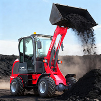 Cargadora Compacta W810 en Oferta, Motor Kubota, Uso Agrícola, Mini Cargadora de Ruedas, Euro 5 CE 4x4, Cargadora Articulada Diésel de 2 Toneladas