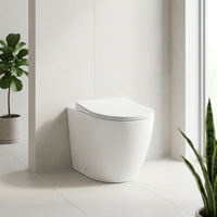 Chaozhou Offre Spéciale élégant filigrane sanitaire salle de bain wc blanc sans monture lavage au sol en céramique cuvette de toilette pour la maison
