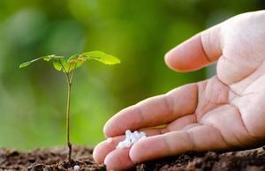 Vente directe d'usine BANGZE Engrais granulaire 25 kg Sulfate d'ammonium Qualité agricole 21% Durée de conservation de <span class=keywords><strong>2</strong></span> ans - Product Image 5