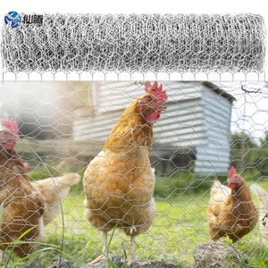 Lục giác dây sắt lưới với lớp phủ PVC màu xanh lá cây nhựa gà dây lưới cho gà gia cầm chăn nuôi lồng - Product Image 2