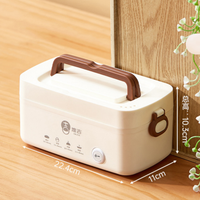 Chauffe-plat portable OEM, boîte à bento électrique silencieuse en acier inoxydable, cuiseur vapeur simple ou double couche, boîte à lunch isotherme